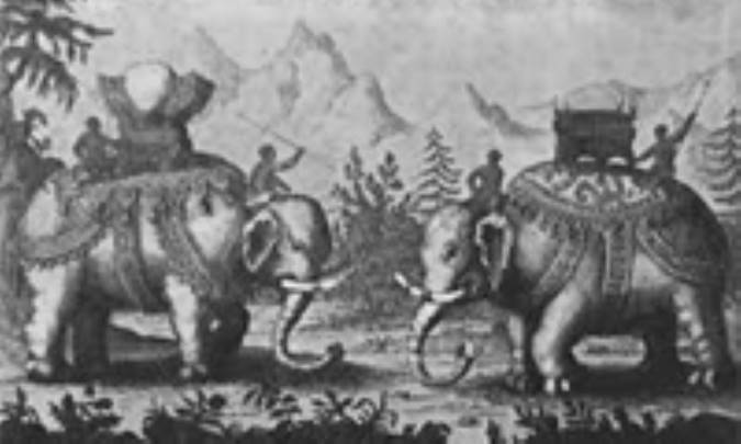 پیکار پاندویی‌ها و کورویی‌ها (1)