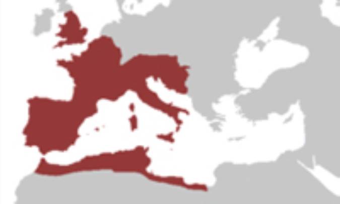 فروپاشی رُم غربی