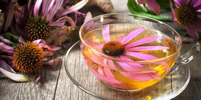 سرخار گل چه خواصی دارد؟