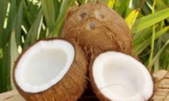 افسانه‌ی نارگیل