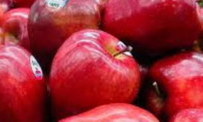 سيب را جدي بگيريد 