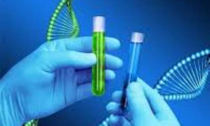 گزینش طبیعی و شایستگی