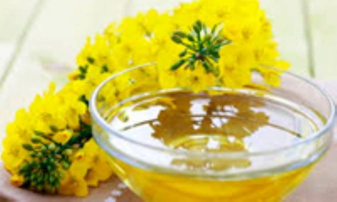 ارزش تغذیه‌ای روغن کانولا