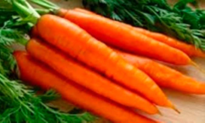 ارزش تغذیه‌ای هویج