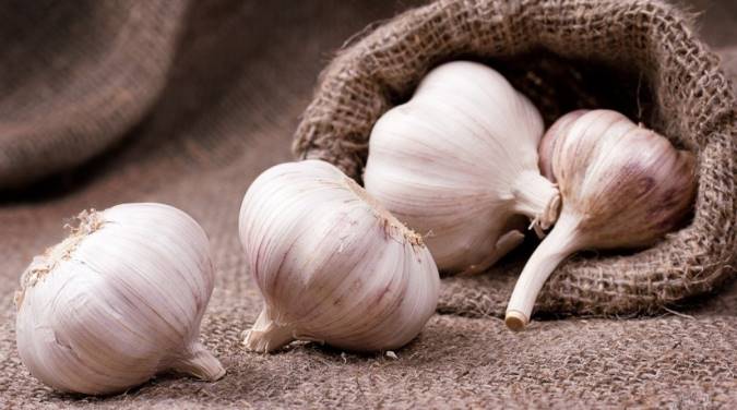 آموزش نگهداری سیر به مدت طولانی