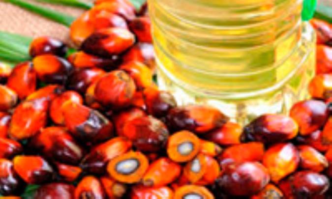 روغن نخل قرمز