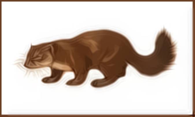 تقسیم عادلانه