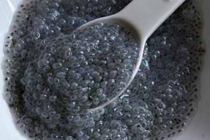 تخم ریحان چه خواصی دارد؟