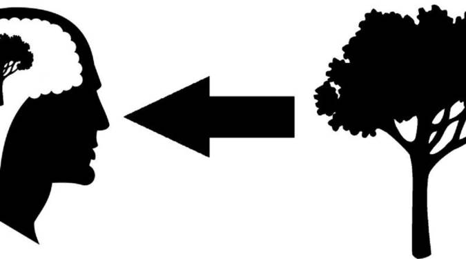 نقد عینی گرایی