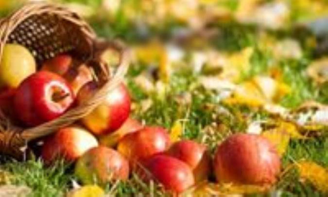 بوی سیبستان وحدت وجود در مثنوی