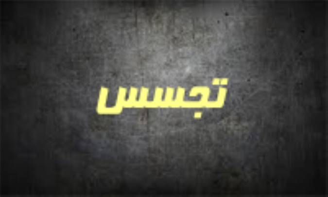 دایره‌ی معنایی واژه‌ی «تجسّس»