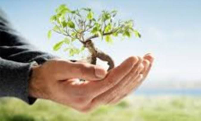 خرید و آگاهی از محیط زیست