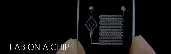 بررسی آزمایشگاه روی یک تراشه (LOC)