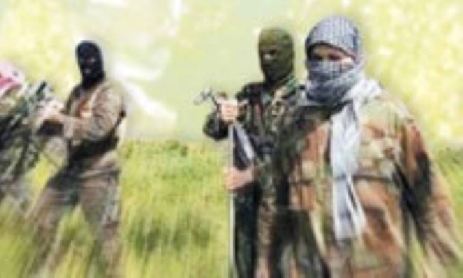 جستاری در سازمان القاعده