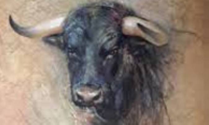 گاو نر و بچه‌های یتیم