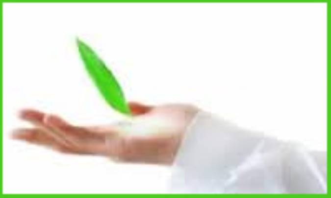 اولیا و عنایات حق در مثنوی معنوی