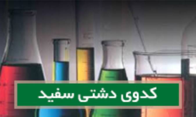 کدوی دشتی سفید (رازک وحشی) Bry0nia alb.