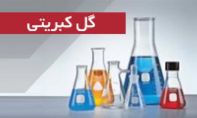 گل کبریتی Lycopodium clav