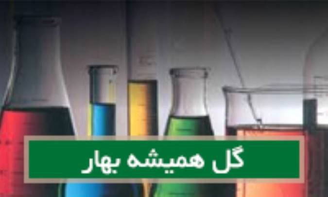 گل همیشه بهارCalendula off