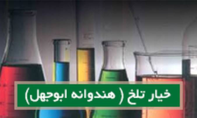 خیار تلخ (هندوانه ابوجهل)Colocynthis