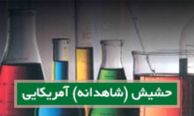 حشیش (شاهدانه) آمریکاییCannabis sat