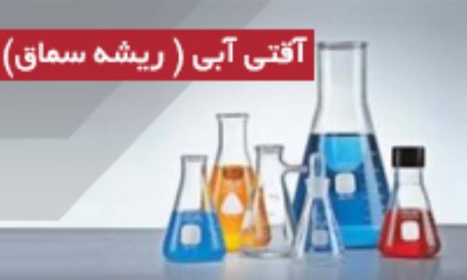 آقتی آبی (ریشه سماق) Caulophyllum