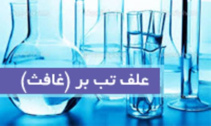 علف تب بر (غافث) Eupatorium per