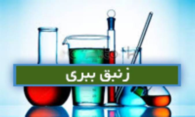 زنبق ببری Lilium tig.