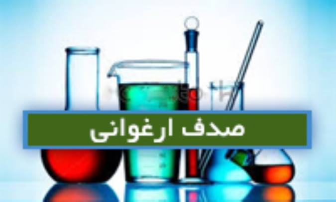 صدف ارغوانی Murex pur