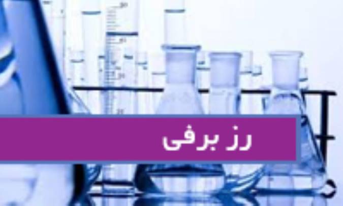 رُز برفی Rhododendron