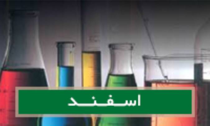 اسفند Ruta grav