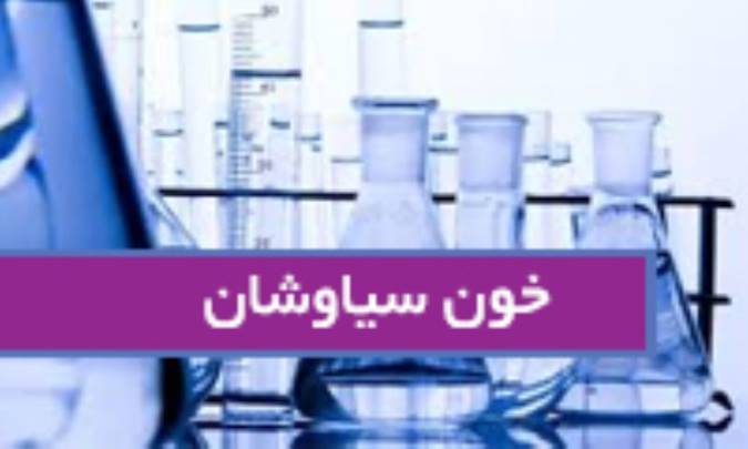 خون سیاوشان Sanguinaria can