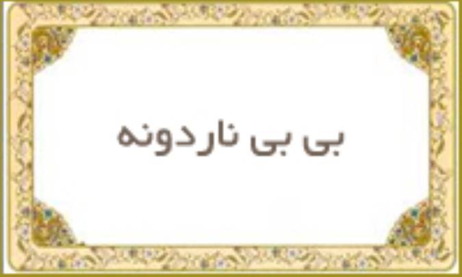بی بی ناردونه