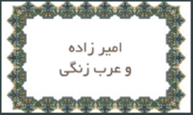 امیرزاده و عرب زنگی