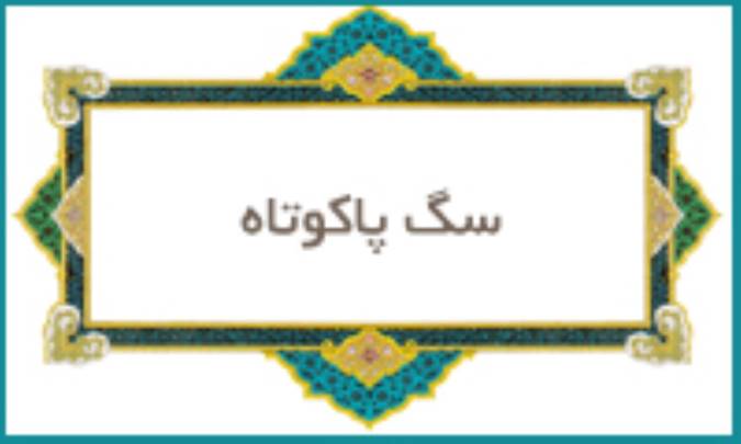سگ پاكوتاه