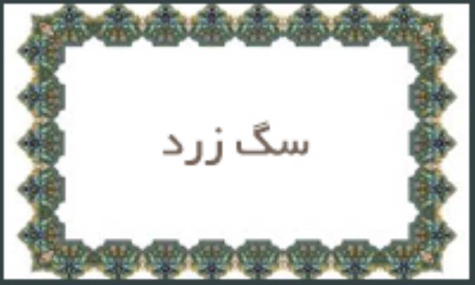 سگ زرد