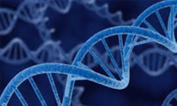 خانواده‌ی ژنی