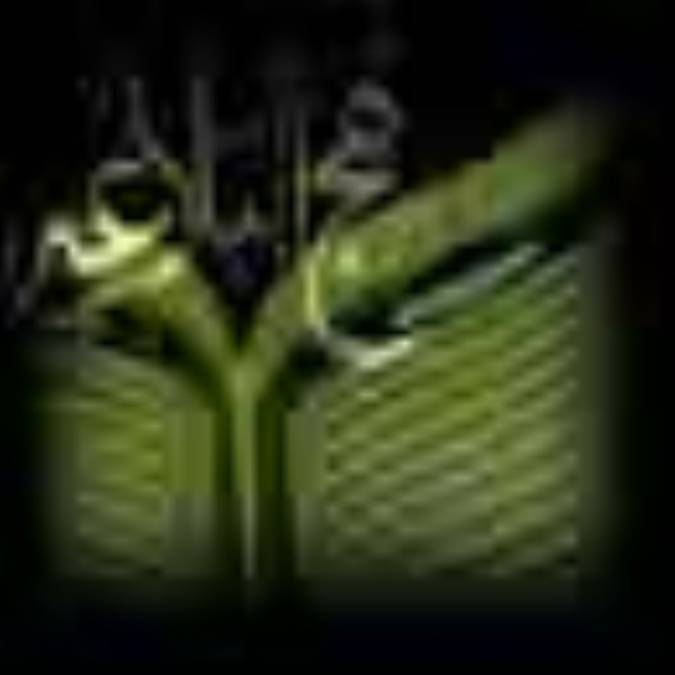 مشتركات قرآن و نهج البلاغه(2)