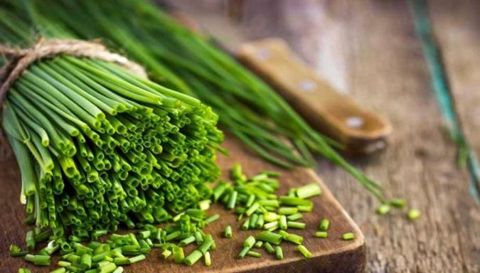 آشنایی با گیاه پرخاصیت تره