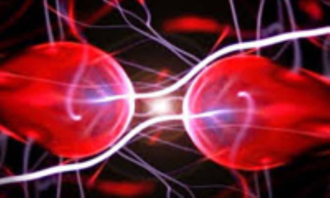 پاد ماده و دامی برای آن