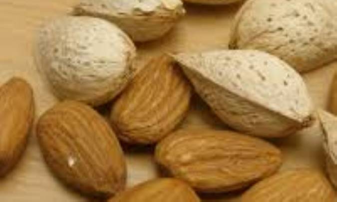 حقایق تغذیه‌ای بادام