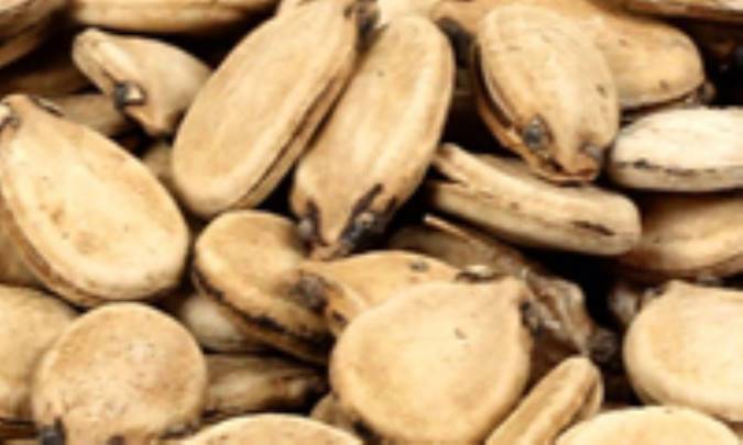 روغن تخمه‌ی هندوانه