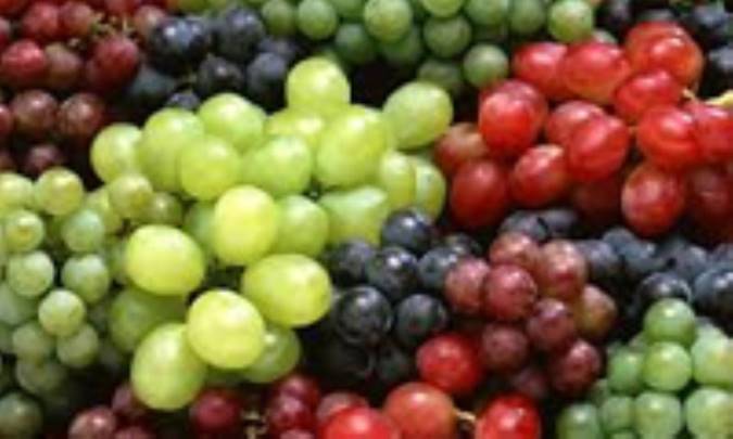 ارقام انگور