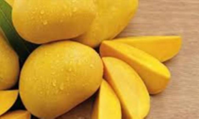 آلرژی نسبت به انبه