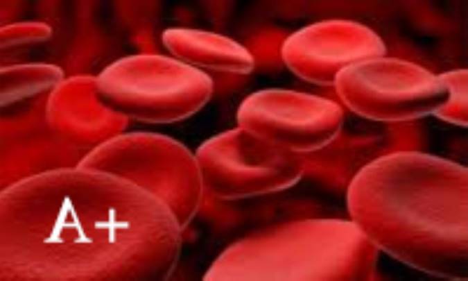 آنچه که لازم است دارندگان گروه خونی مثبت اِی بخورند.