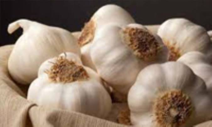 آیا سیر برای سلامتی شما مفید است