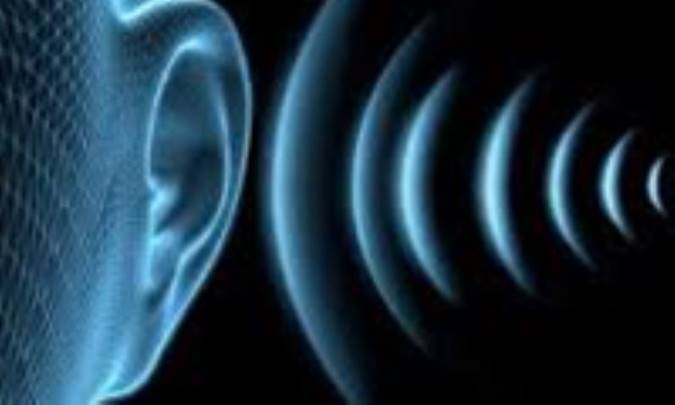 توضیح وظایف گوش انسان