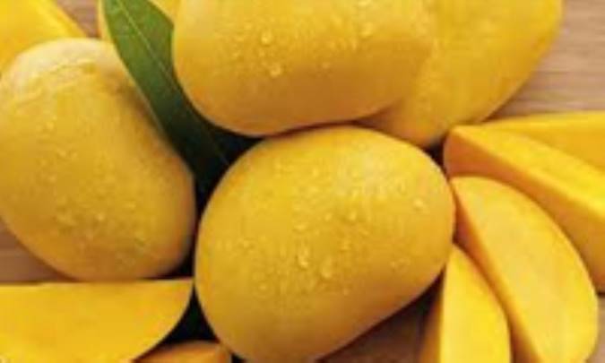 راهنمای کامل جهت مراقبت از انبه