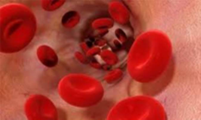 سطح پایین تری گلیسرید