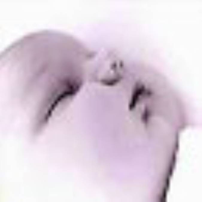 تغذیه در دوران شیردهی